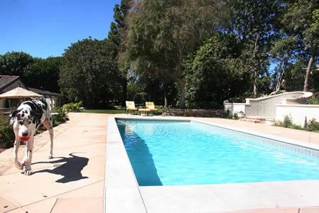 Palos Verdes Estates Pool Water Fountian Outdoor Fireplace 1